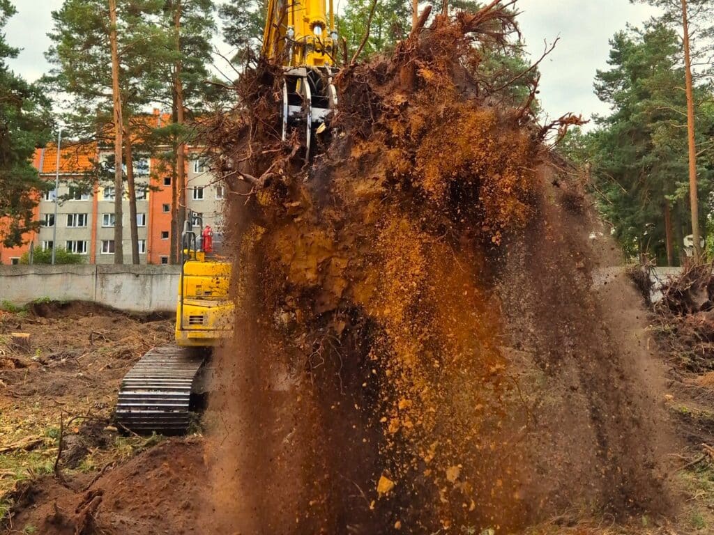 Celmu raušana - SERVAL