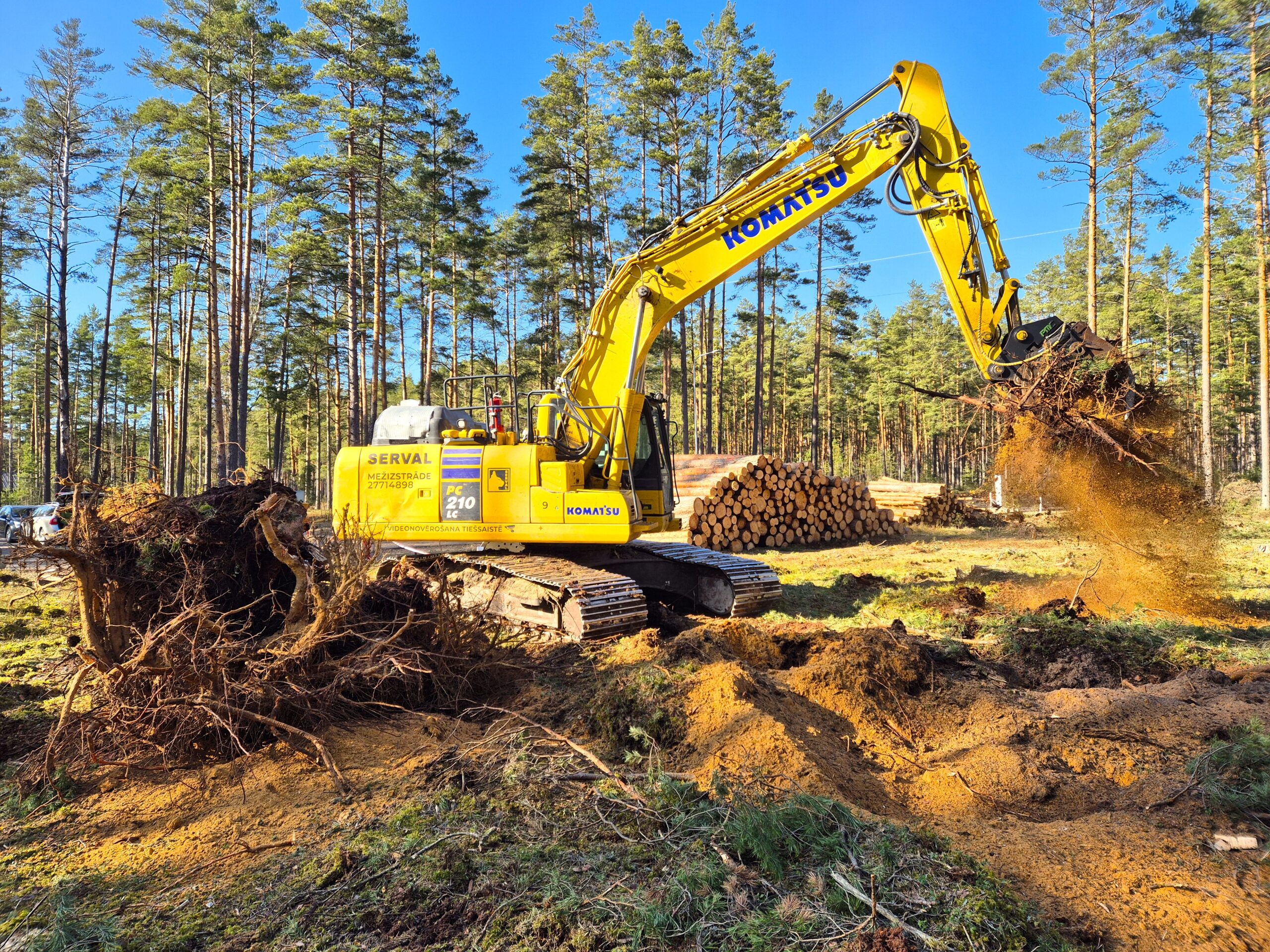 Celmu raušana - SERVAL